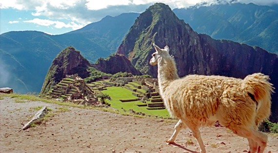 PERU 2025!